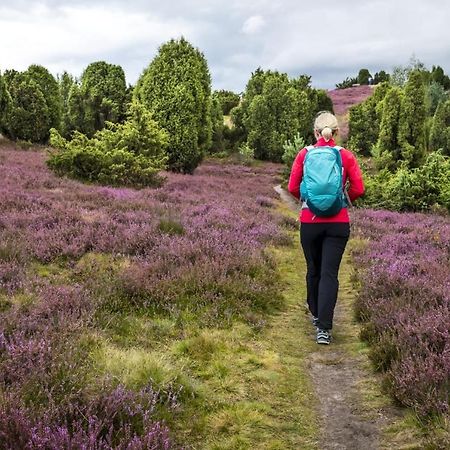 Ferienwohnung Heide View Bispingen Zewnętrze zdjęcie