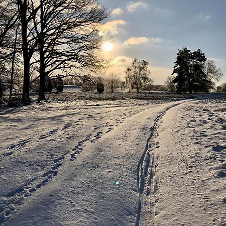 Ferienwohnung Heide View Bispingen Zewnętrze zdjęcie