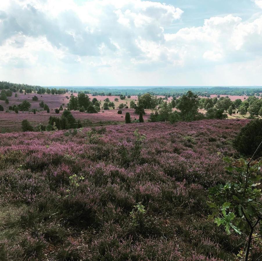 Ferienwohnung Heide View Bispingen Zewnętrze zdjęcie