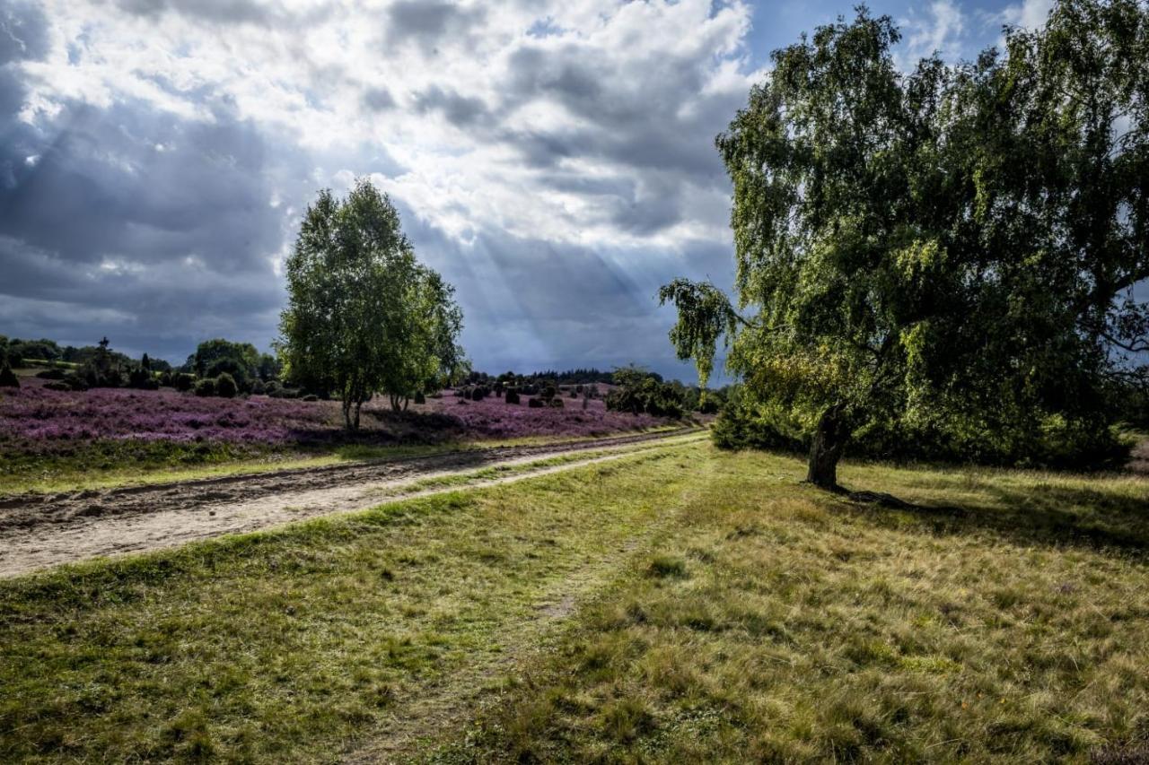 Ferienwohnung Heide View Bispingen Zewnętrze zdjęcie