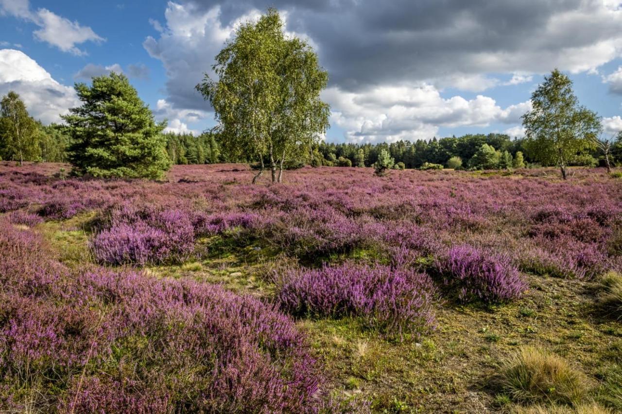 Ferienwohnung Heide View Bispingen Zewnętrze zdjęcie