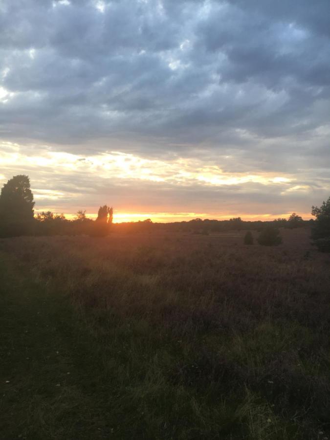 Ferienwohnung Heide View Bispingen Zewnętrze zdjęcie