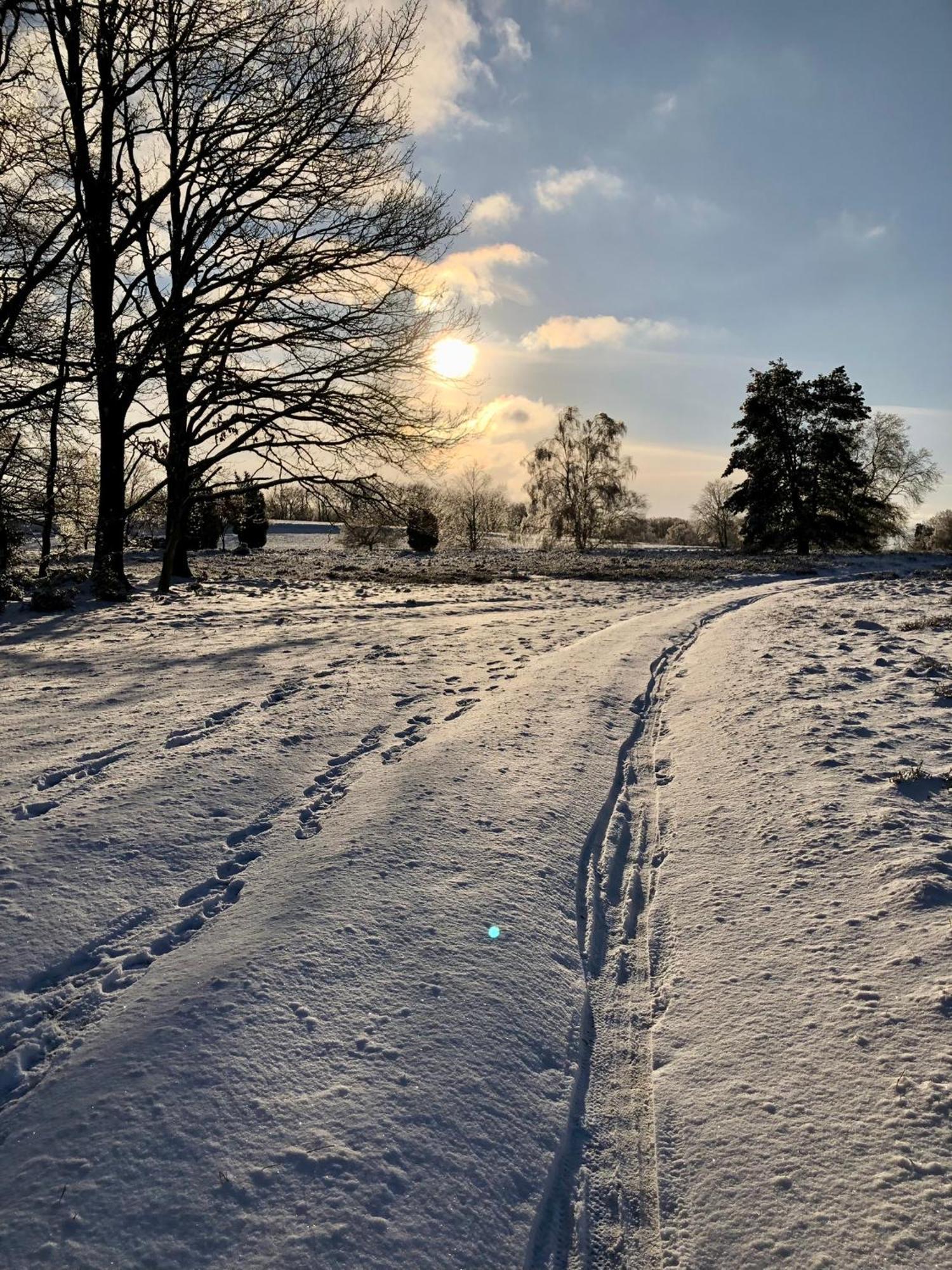 Ferienwohnung Heide View Bispingen Zewnętrze zdjęcie