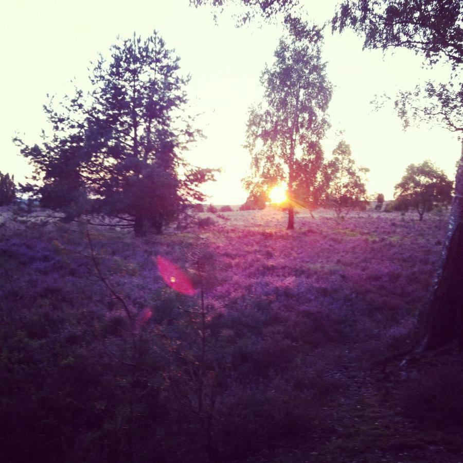 Ferienwohnung Heide View Bispingen Zewnętrze zdjęcie