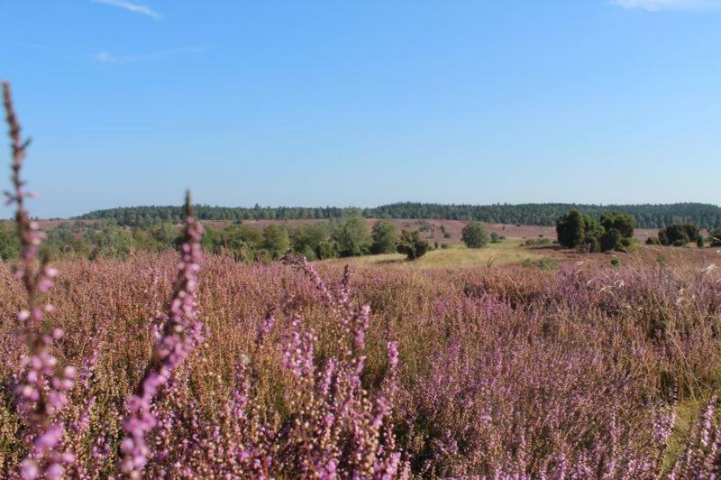 Ferienwohnung Heide View Bispingen Zewnętrze zdjęcie